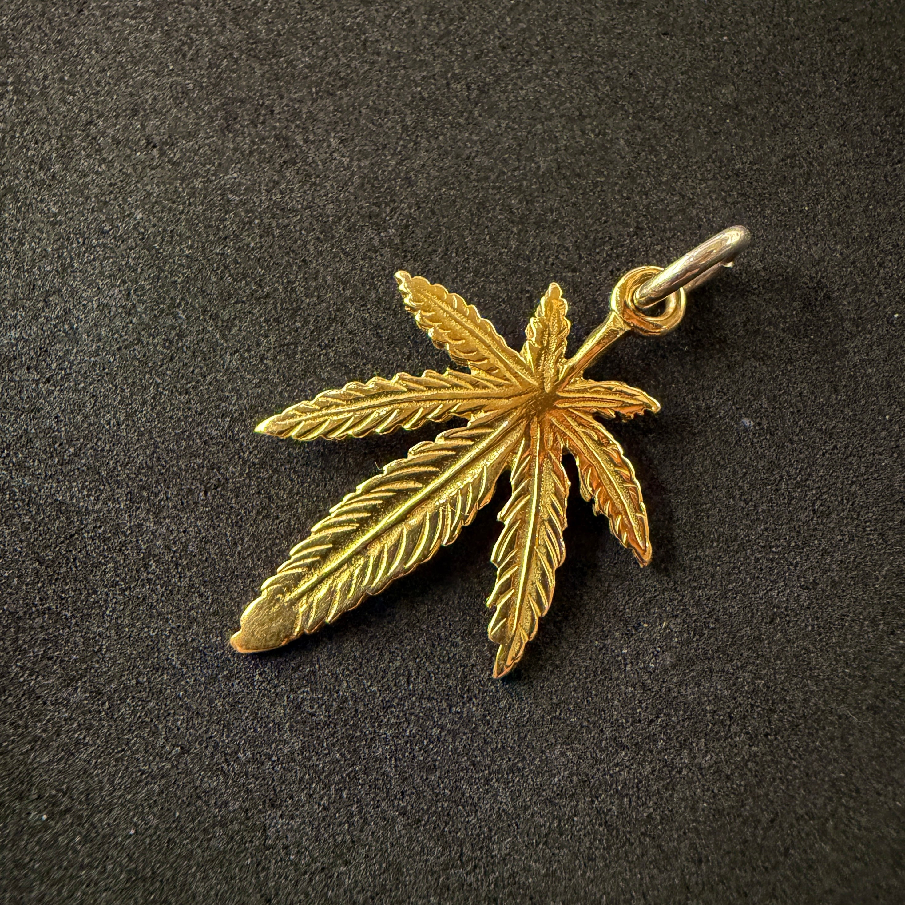 IMG_4569_f5be61ec-cfef-4ae7-