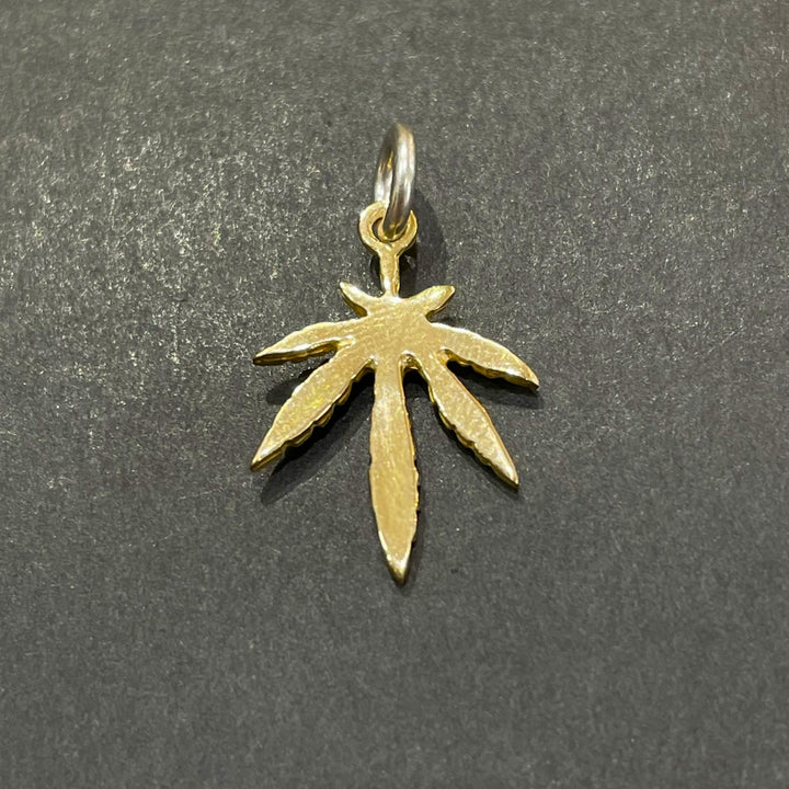 IMG_3017_720x.jpg?v=1744787296