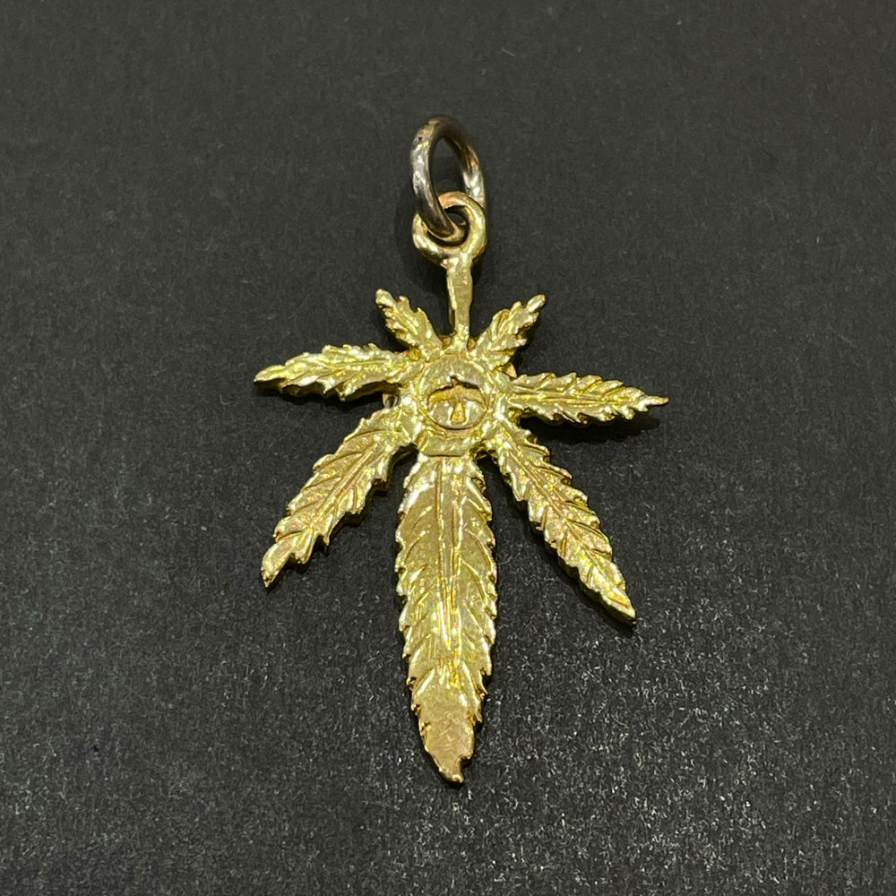 IMG_3661_1000x.jpg?v=1760597693